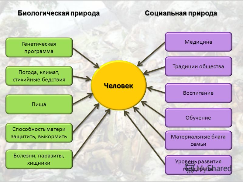 С чем неразрывно связаны природные и социально-биологические факторы С чем неразрывно связаны природные и социально-биологические факторы