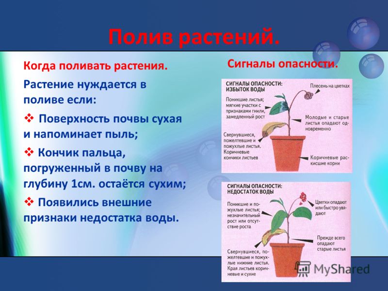 Как сделать форму для отливки пластмасс Как сделать форму для отливки пластмасс