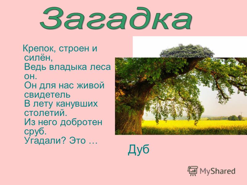 Какие нужны инструменты для маникюра дома, список, описание Как получить только силу русалки без хвоста?