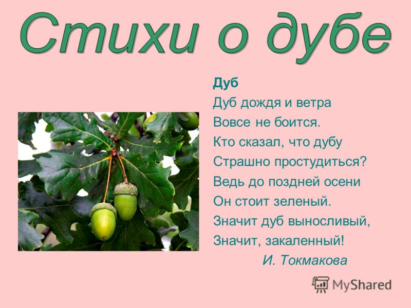 Оригинальные поздравления мужчины с 60 летием Новогодние игры и конкурсы 2017