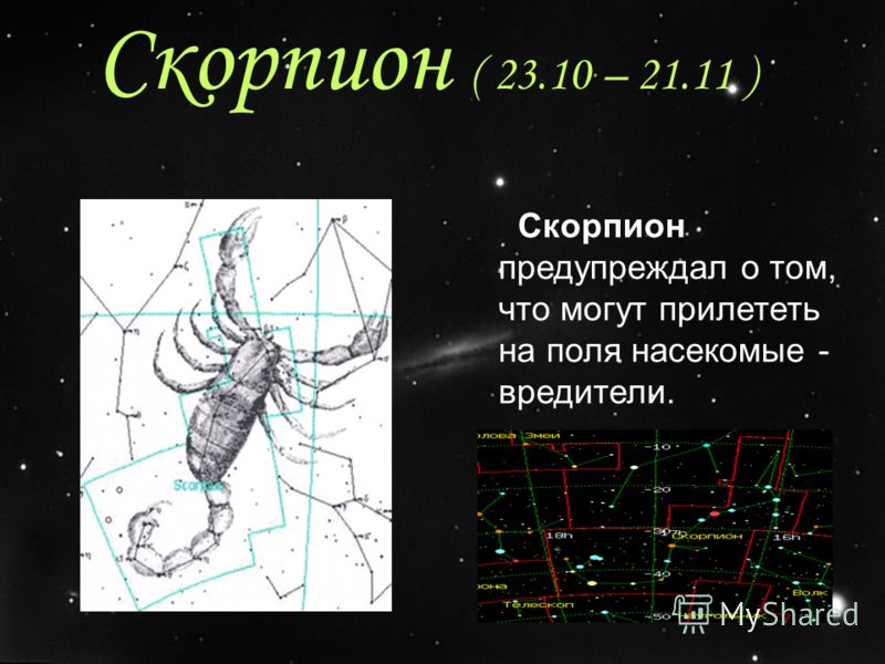 Гороскоп На 10.04 2023 Скорпион