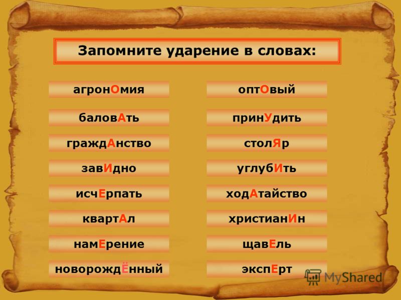Фетиш Горчичник