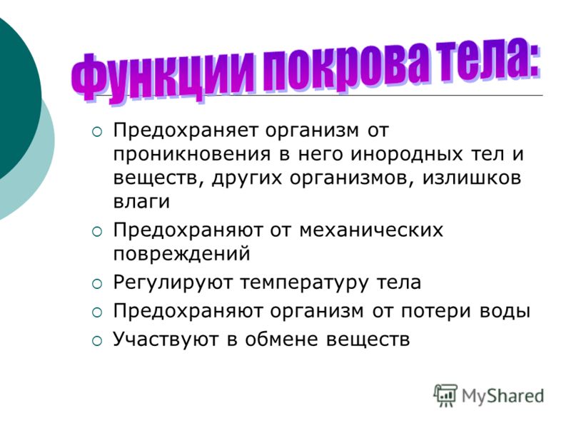 Функции работы с телом Функции работы с телом
