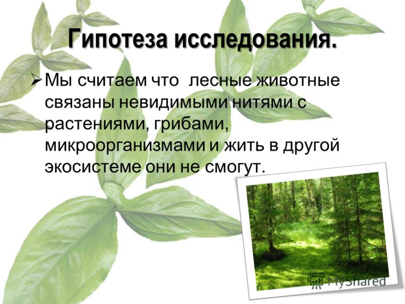Работа связанная с растениями Работа связанная с растениями