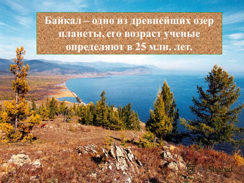 Байкал – одно из древнейших озер планеты, его возраст ученые определяют в 25 млн. лет.