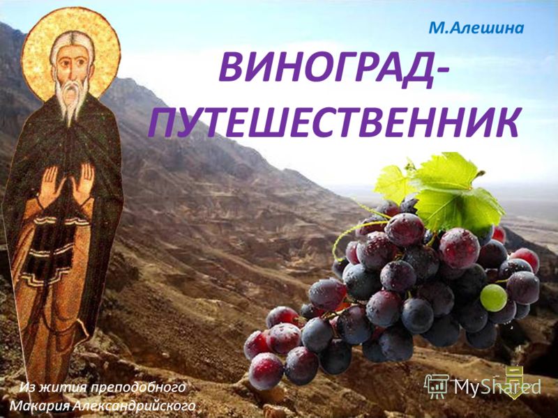 Презентация На Тему: "ВИНОГРАД- ПУТЕШЕСТВЕННИК М.Алешина Из Жития.
