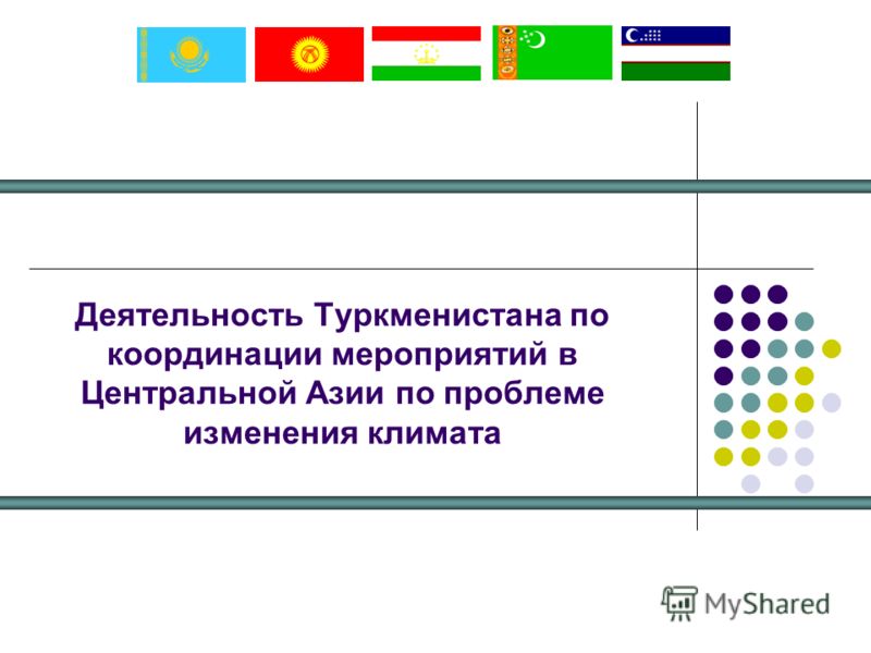 Деятельность Туркменистана по координации мероприятий в Центральной Азии по проблеме изменения климата