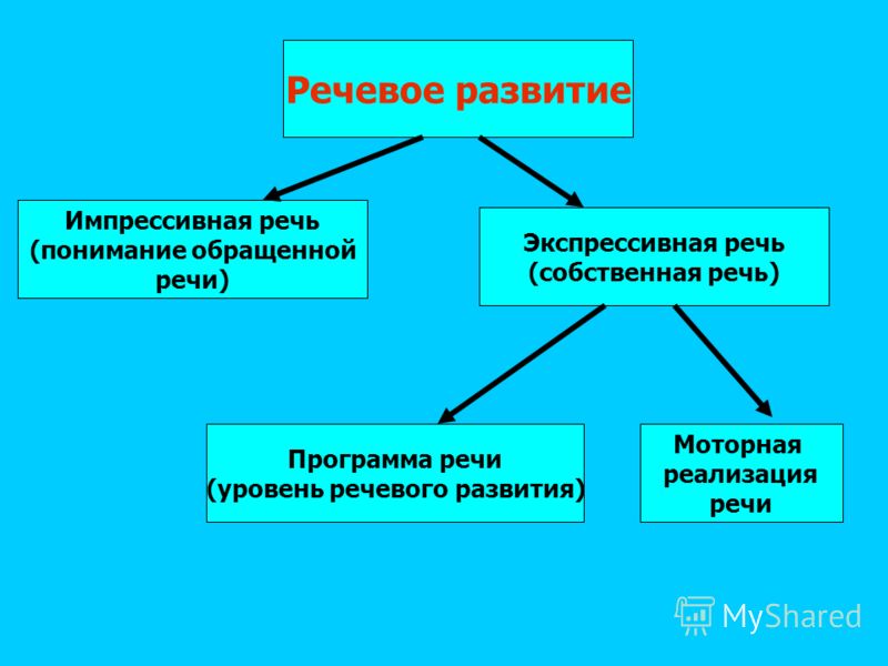 Развитие импрессивной речи игры Развитие импрессивной речи игры