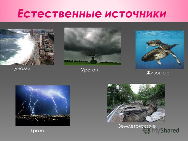 нарушения обмена веществ в почках нарушения обмена веществ в почках