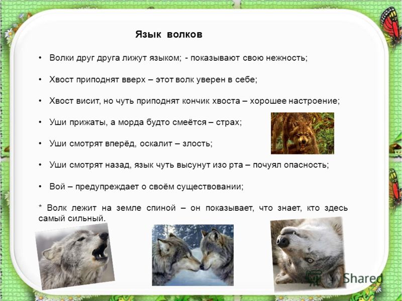 запах изо рта как будто гноем запах изо рта как будто гноем
