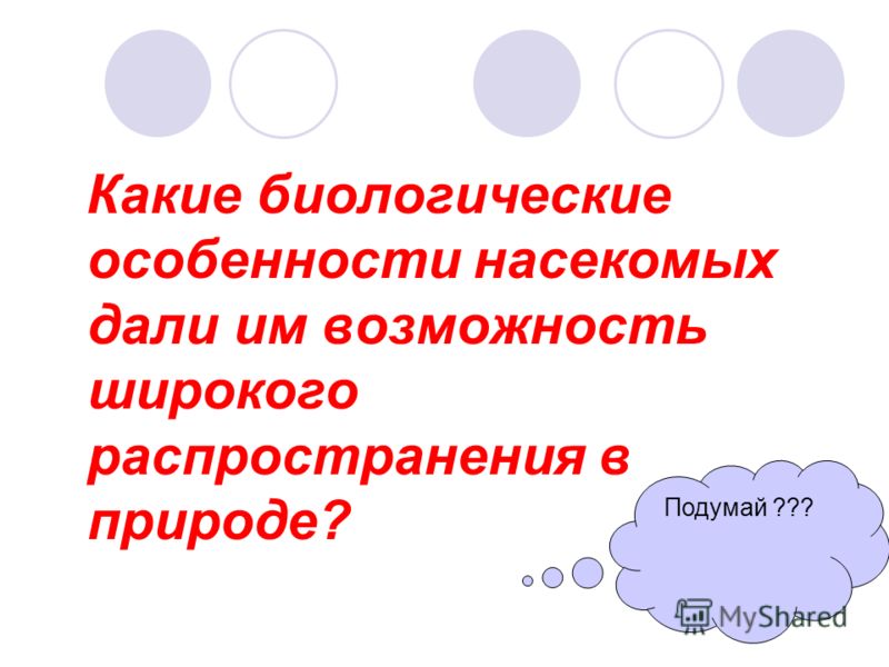 жуки паразиты человека жуки паразиты человека