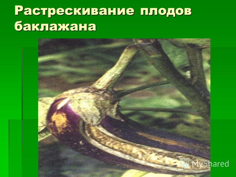 От чего болеют больше простатитом