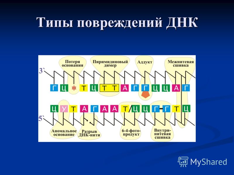 Полировка своими руками! Учимся полировать Поделки из бумаги и картона для детей