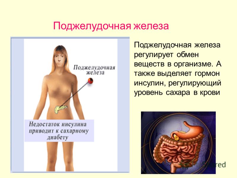 С чем связано нехватка железа С чем связано нехватка железа