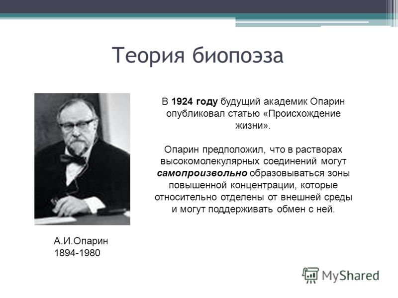Теории происхождения права таблица тгп фото - PwCalc.ru
