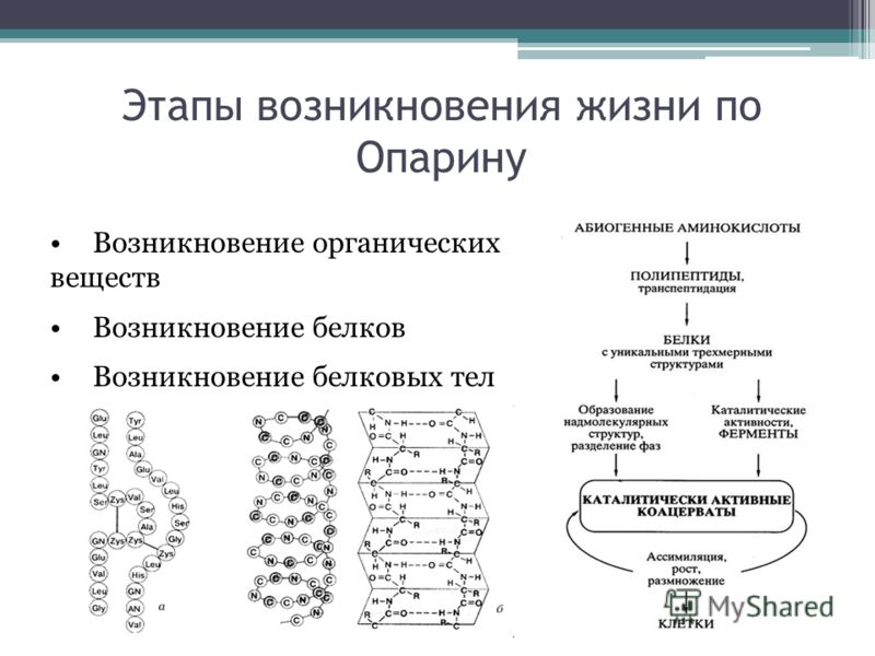 Гипотеза опарина фото Shkola-2.ru