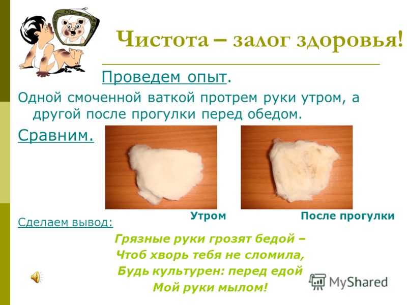 питание 2 раза в день для похудения питание 2 раза в день для похудения
