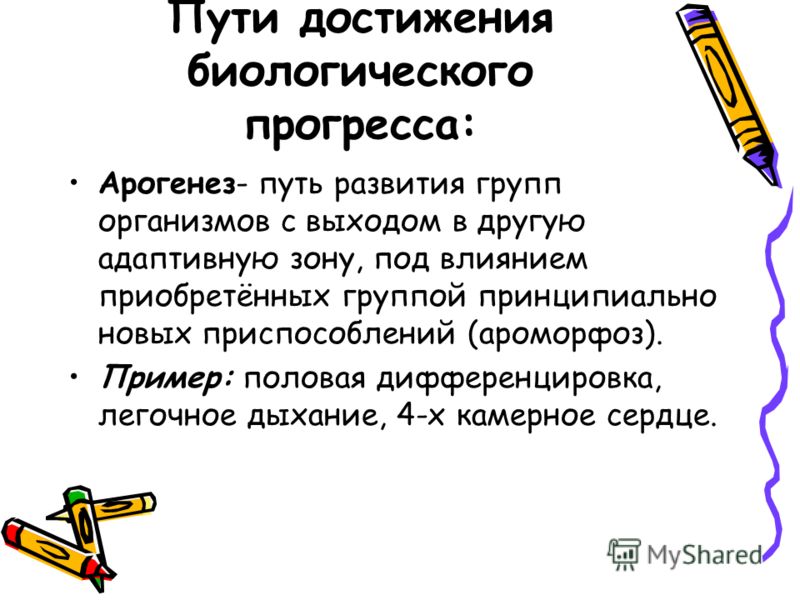 Пути достижения биологического прогресса схема 154