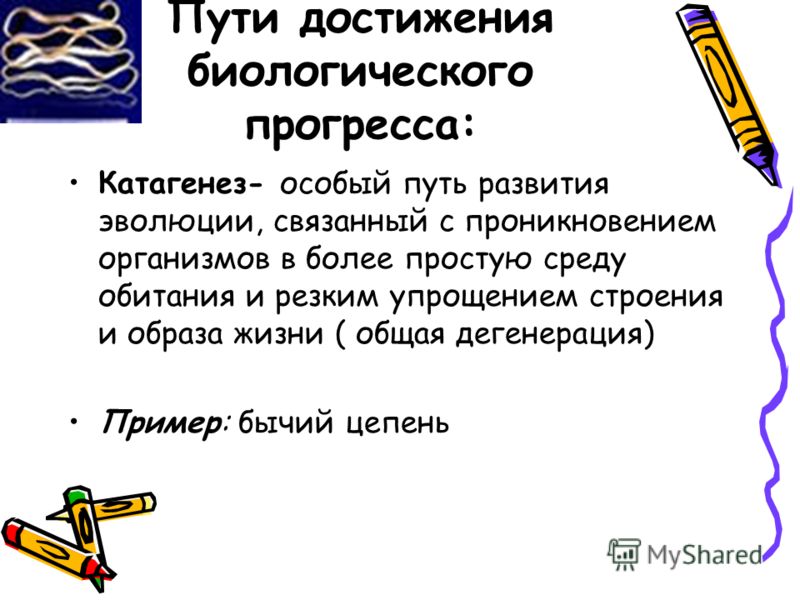 Фильмы которые связаны с островом Фильмы которые связаны с островом