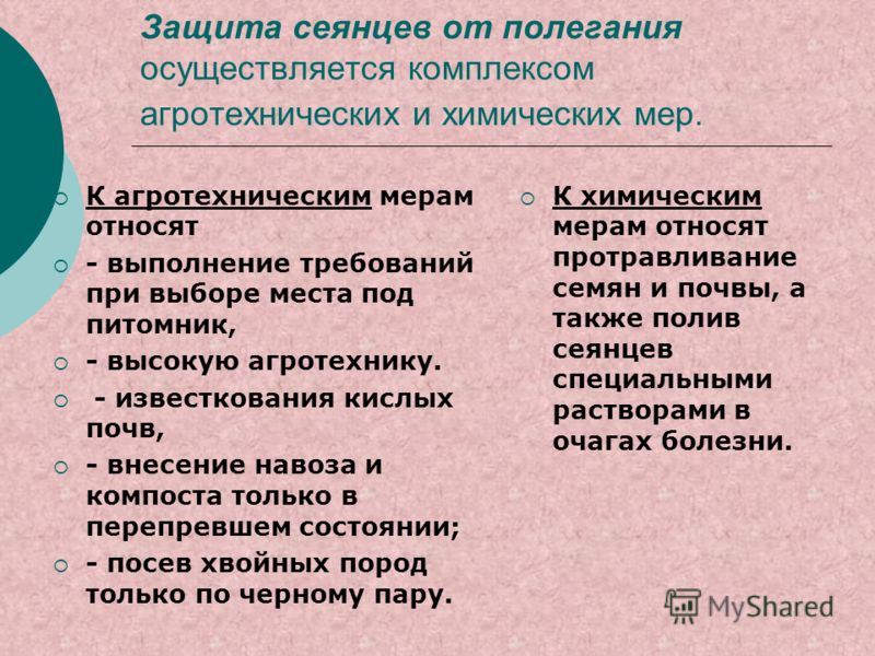 Агротехнические требования при уходе за посевами Агротехнические требования при уходе за посевами