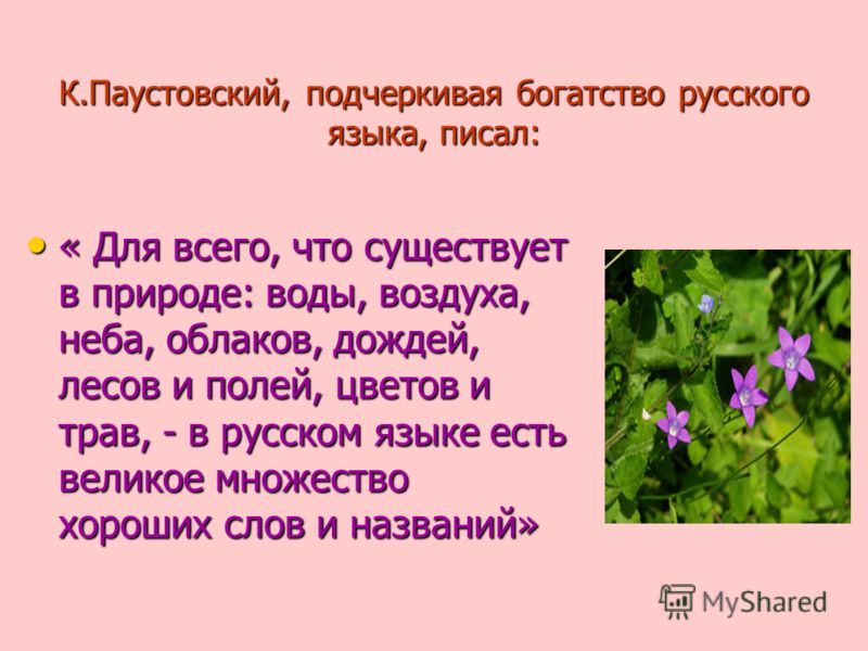 Стих паустовского все Стих паустовского все