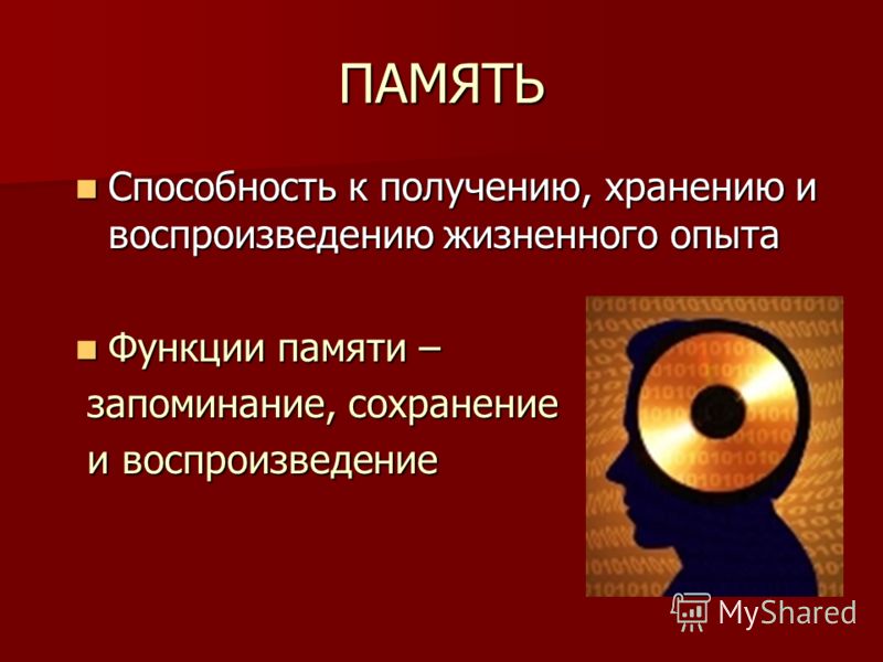 болтается, заключение на тему память как познавательный психический процесс термобелье, следует