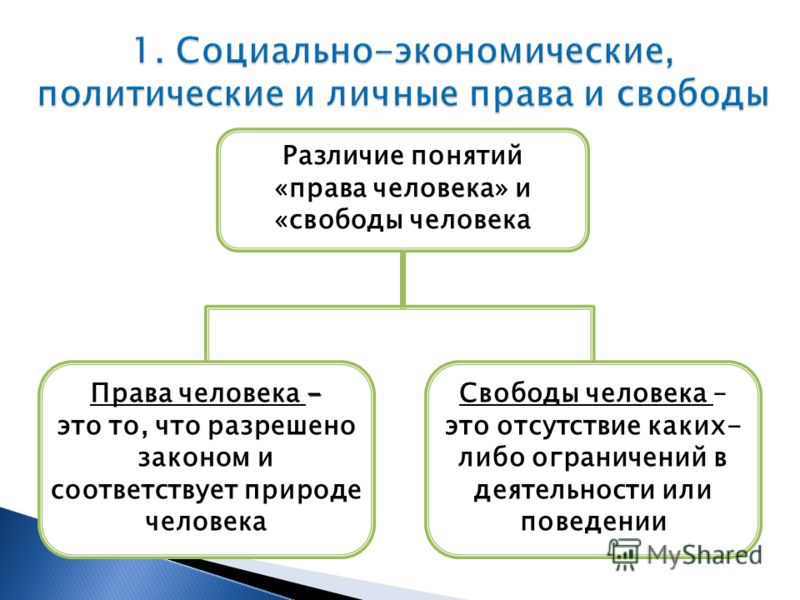 Примеры социально экономических и политических прав