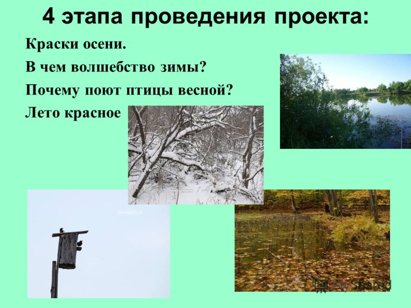 Картинки птицы весной для детей детского сада Картинки птицы весной для детей детского сада