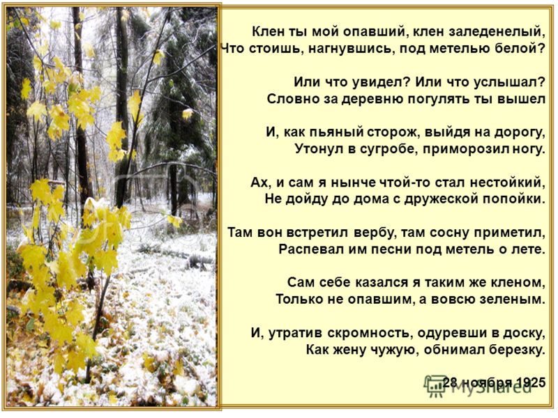 ПЕСНЯ КЛЁН ТЫ МОЙ ОПАВШИЙ КЛЁН ЗАЛЕДЕНЕЛЫЙ СКАЧАТЬ БЕСПЛАТНО ПЕСНЯ КЛЁН ТЫ МОЙ ОПАВШИЙ КЛЁН ЗАЛЕДЕНЕЛЫЙ СКАЧАТЬ БЕСПЛАТНО