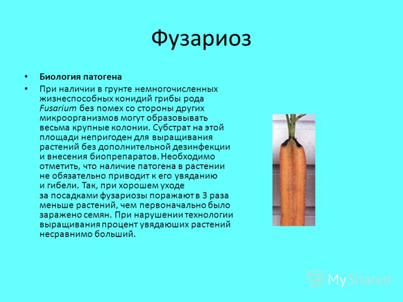 Болит в левом боку и отдает назад