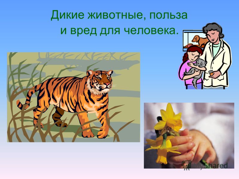 Шаблоны масок для фотосессий своими руками польза домашних животных для человека презентация