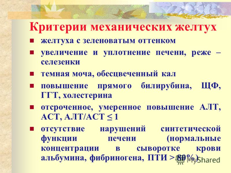 Для лечения хронического гепатита применяется