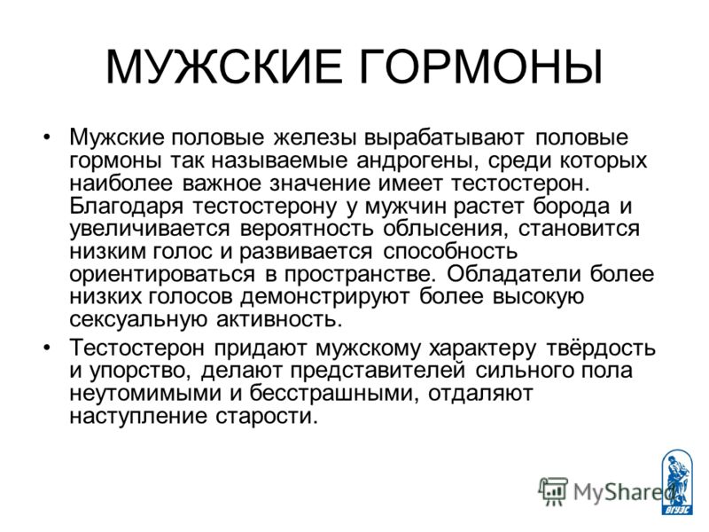 Гормональный статус мужской что это такое Гормональный статус мужской что это такое