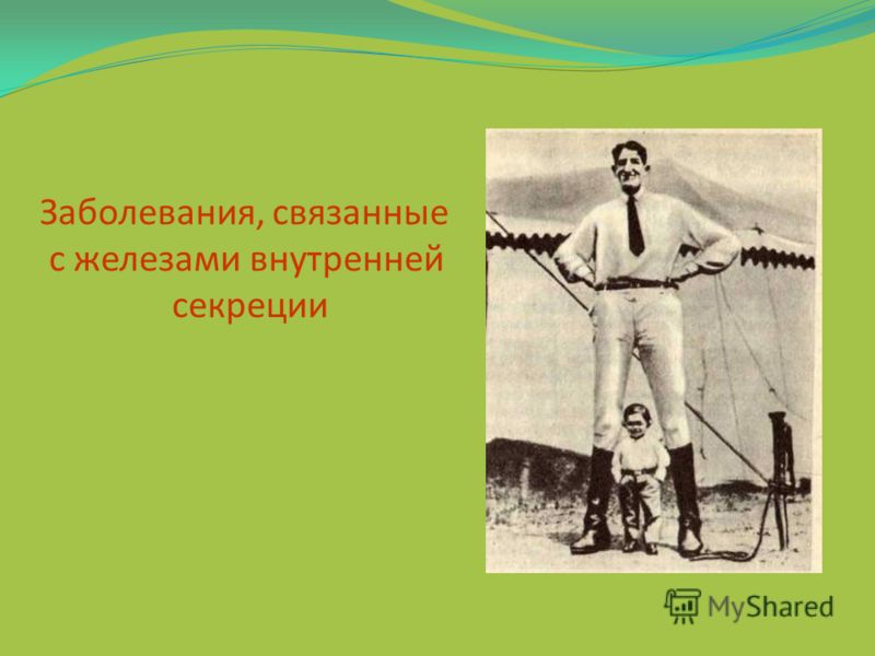 Болезни которые передаются от животного к человеку