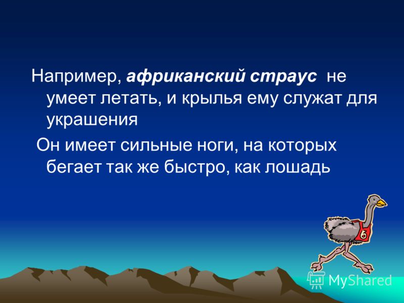 Ферма трахарей встретила давалку стоящим хуем