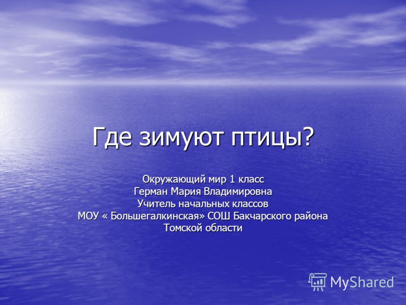 Зимующие птицы томской области картинки фото Зимующие птицы томской области картинки фото
