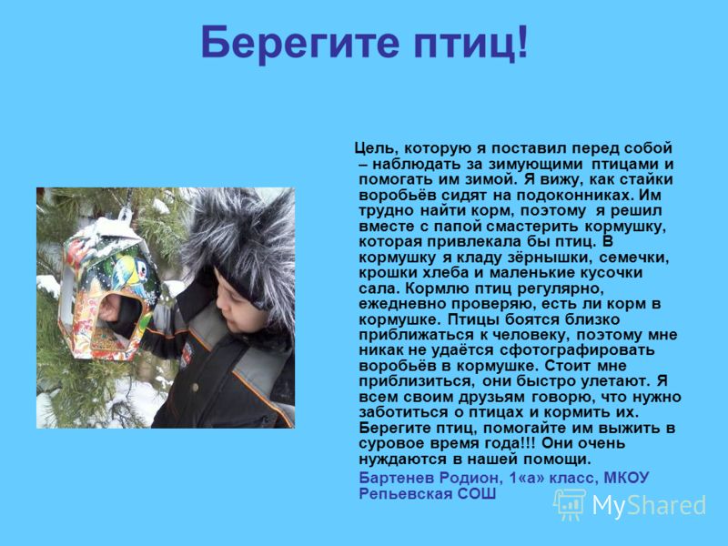 Мое отношение к птицам сочинение Мое отношение к птицам сочинение