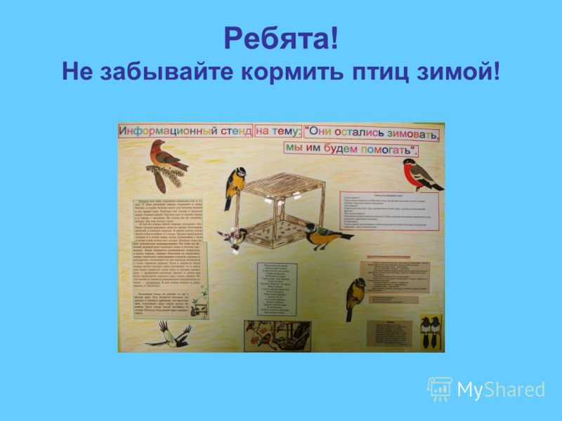 Руководитель к чему снится сон