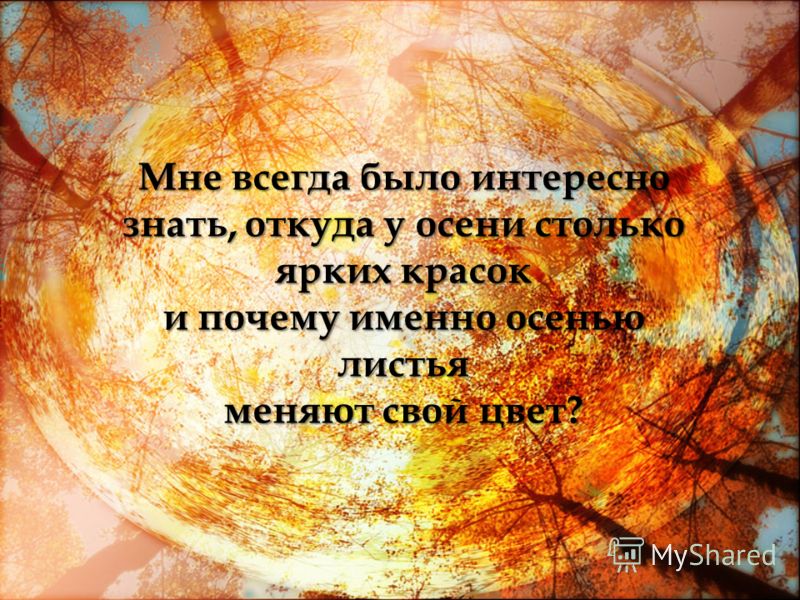 Почему листья меняют цвет?