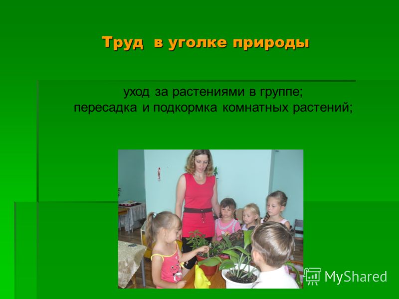 Можно ли целовать ребенка в губы? Мода для полных весна-лето 2017. Модные тенденции 2017 в