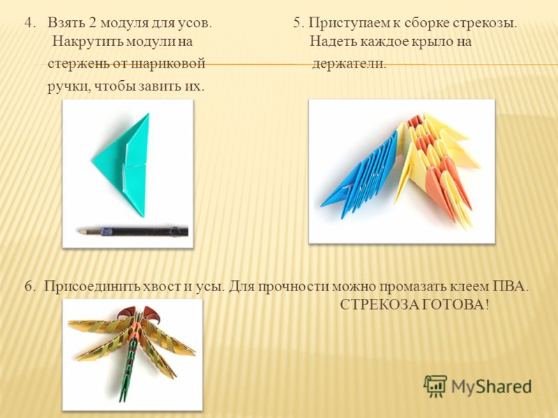 Учебное пособие: Анатомия и физиология человека Федюкович Ты нашёл её?. fo: цитаты и афоризмы