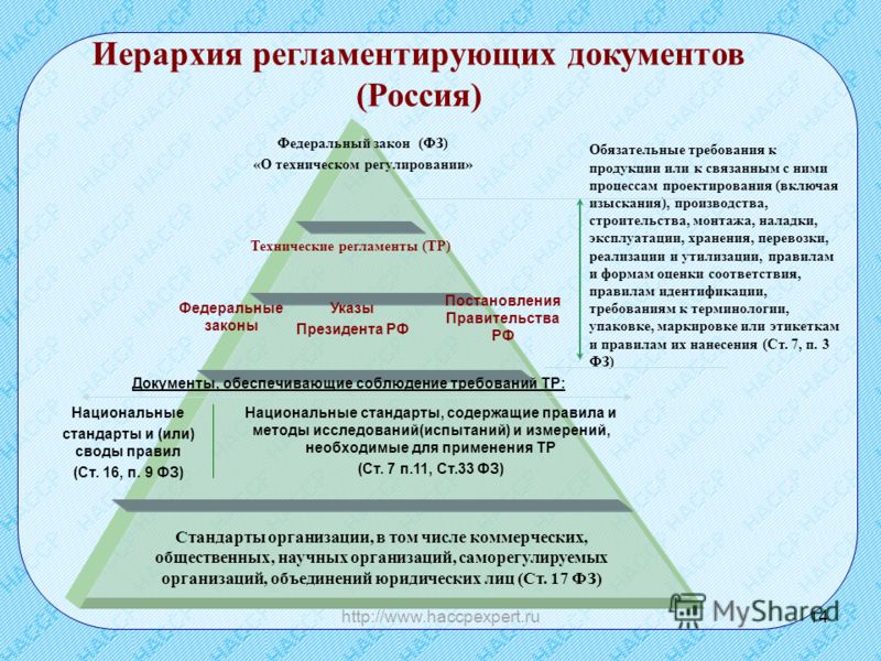 Что главнее федеральный закон или постановление главного санитарного врача Новые бланки заявлений на выдачу вида на жительство (ВНЖ)