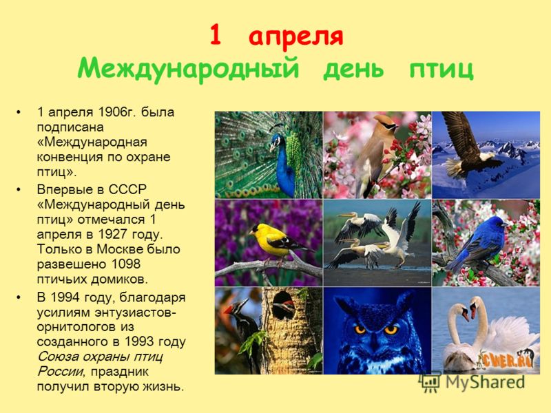 Как появился праздник День космонавтики рекомендации Как появился праздник День космонавтики рекомендации