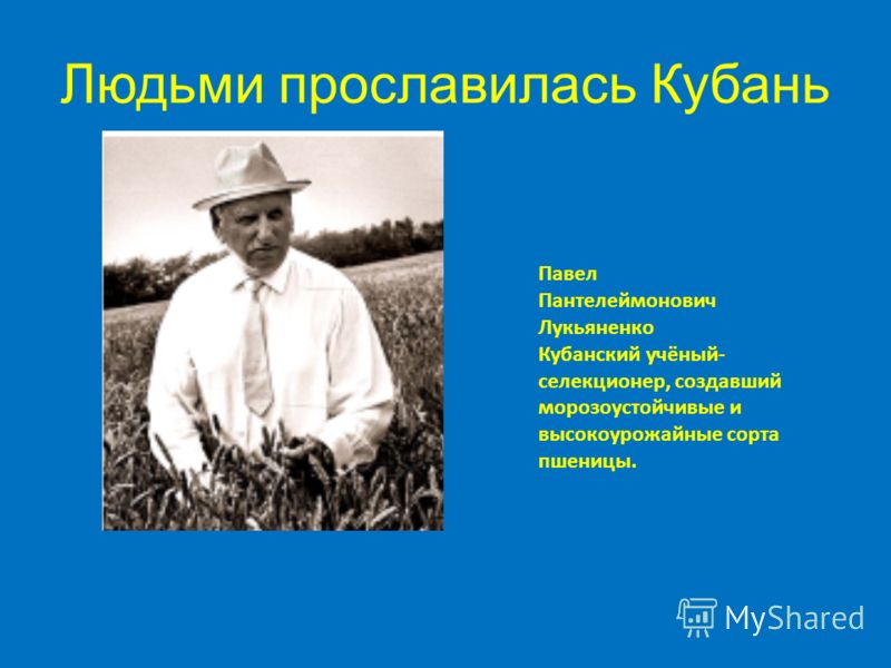 Павел Пантелеймонович Лукьяненко Кубанский учёный- селекционер, создавший морозоустойчивые и высокоурожайные сорта пшеницы. Людьми прославилась Кубань