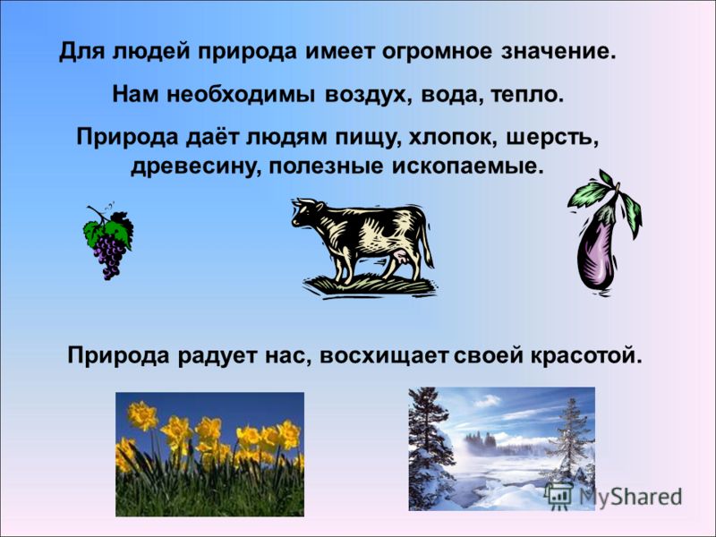 Картинки что дает природа человеку Картинки что дает природа человеку