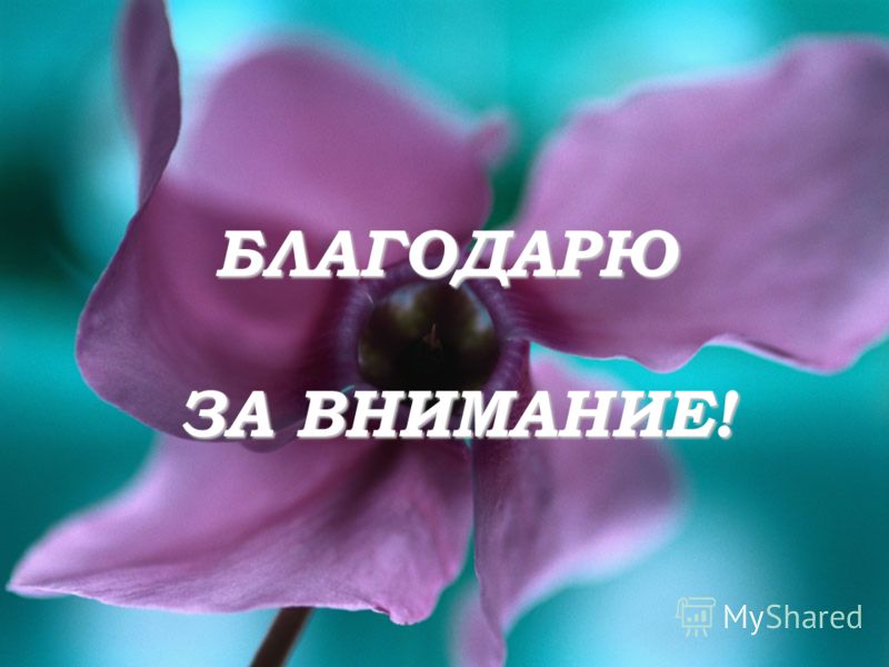 Чем лечить насморк домашними средствами