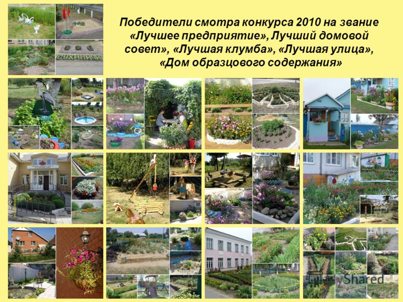 Конкурс на звание лучший дом Конкурс на звание лучший дом