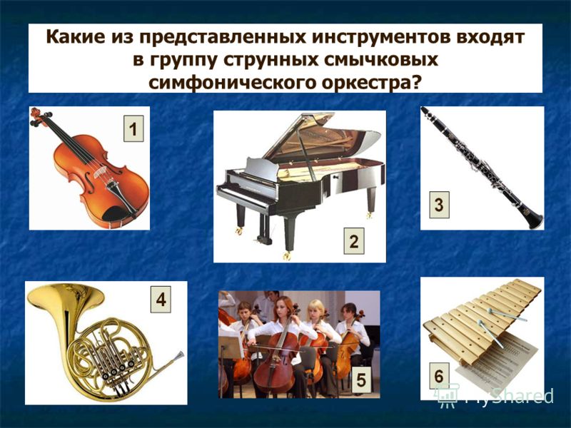 Какие из представленных инструментов входят в группу струнных смычковых симфонического оркестра?