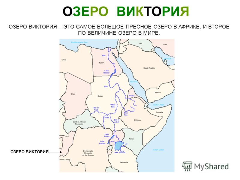 Как пользоваться пеной для укладки волос Как пользоваться пеной для укладки волос