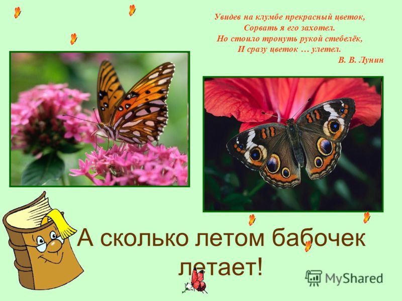 Что значит сорвать цветок Что значит сорвать цветок